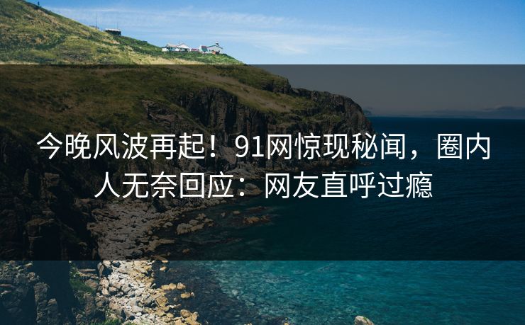 今晚风波再起！91网惊现秘闻，圈内人无奈回应：网友直呼过瘾