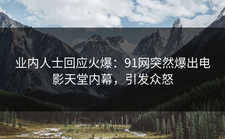业内人士回应火爆：91网突然爆出电影天堂内幕，引发众怒