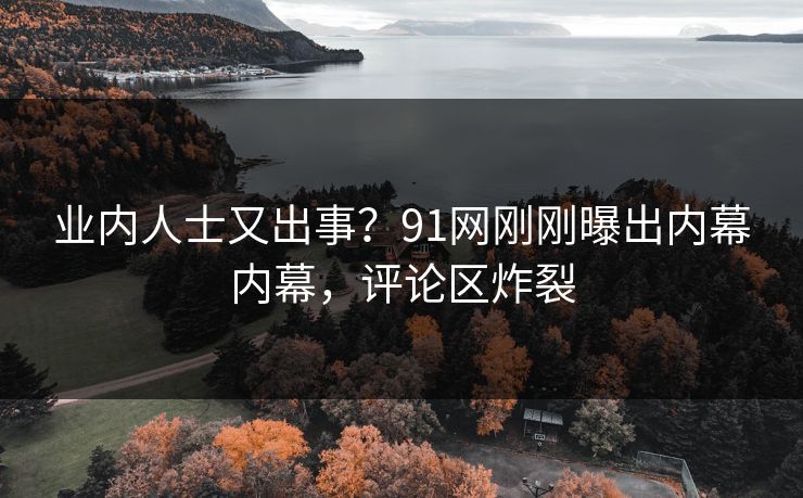 业内人士又出事？91网刚刚曝出内幕内幕，评论区炸裂